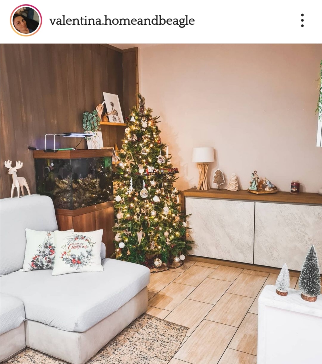 christmas home decoration